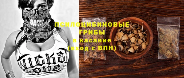 мдпв Балахна