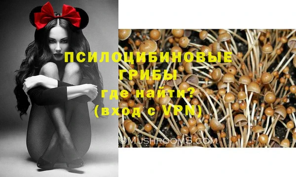 соль ск Арсеньев