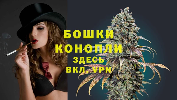 соль ск Арсеньев