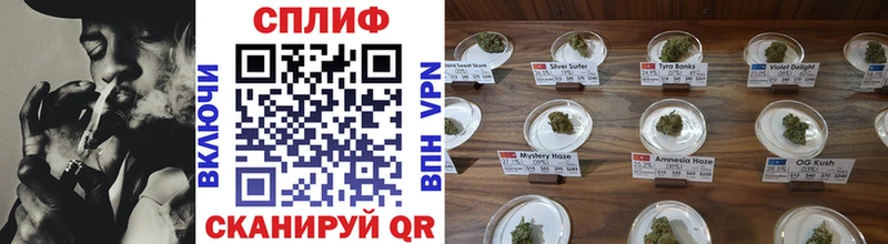 Каннабис план  Кудрово 